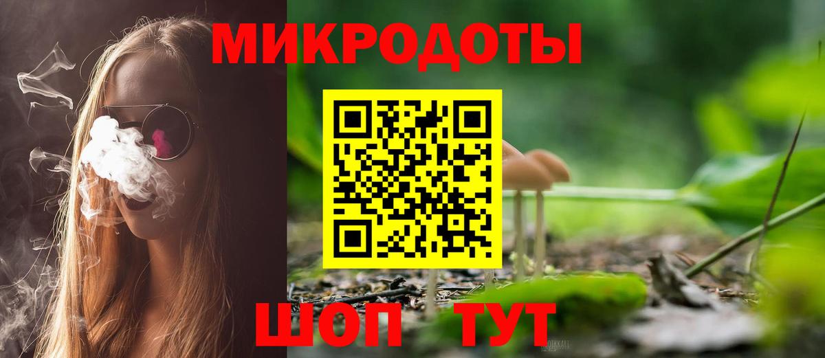 Кулебаки  Галлюциногенные грибы Cubensis  Вход с VPN 